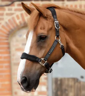 Fleece Padded Horse Head Collar Black