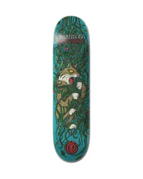 Trapped Westgate 8" - Skateboard Deck